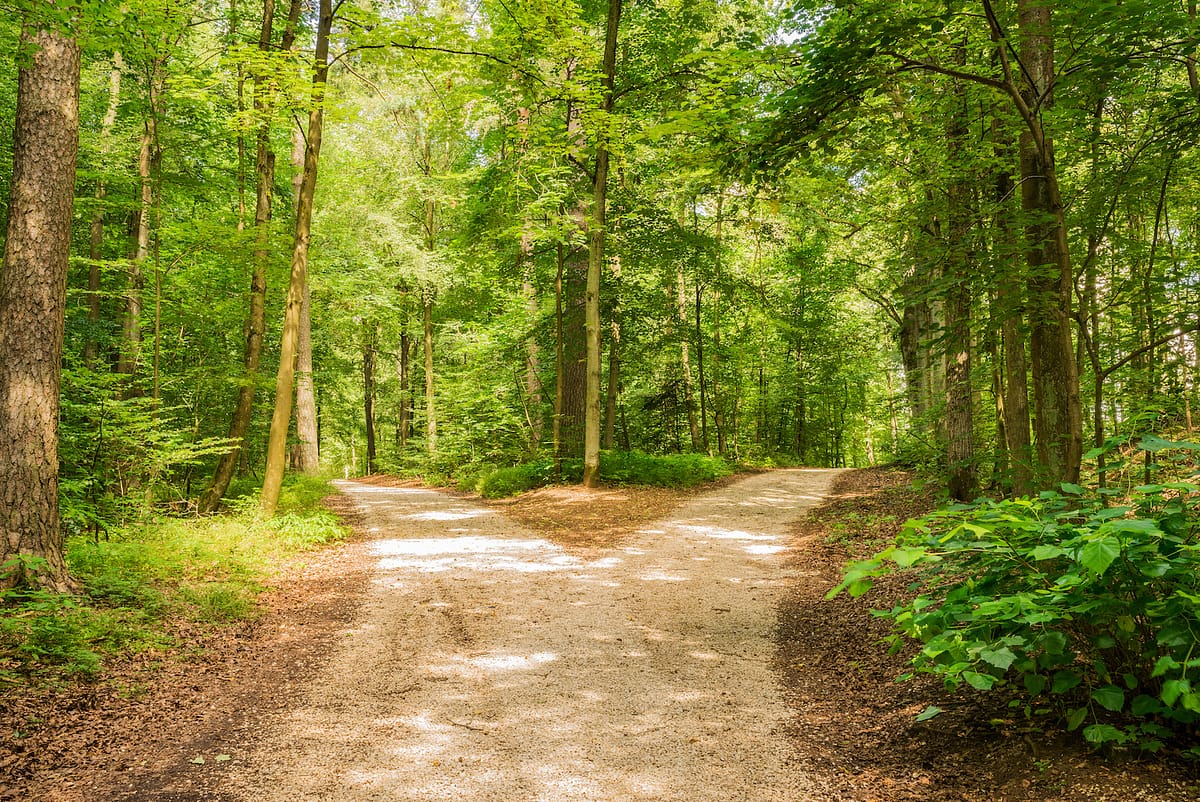Coaching heisst, neue Wege finden