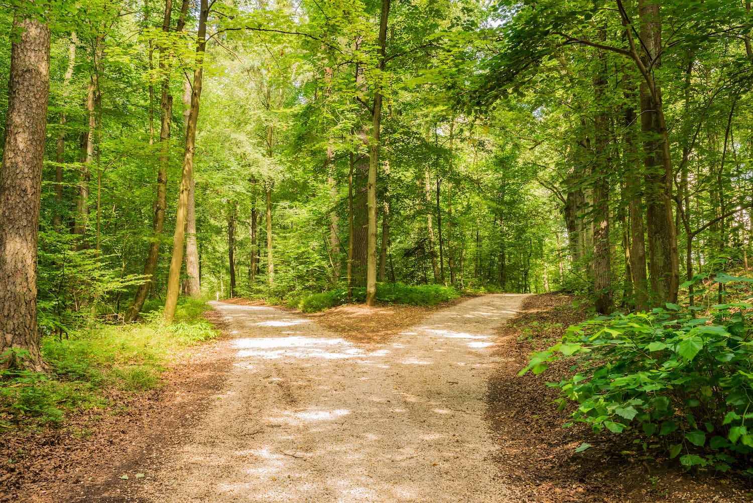 Coaching heisst, neue Wege finden