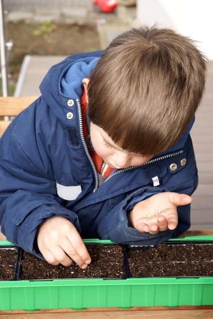 Was kann ich heute Gutes säen? Coaching in Wetzikon